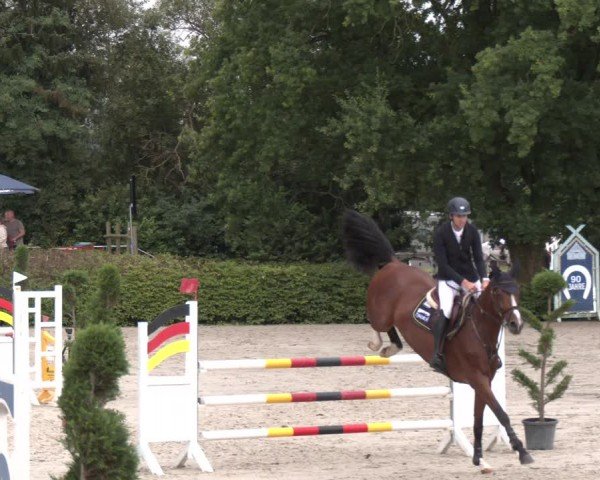 Reitturnier Vlotho-Exter 2024