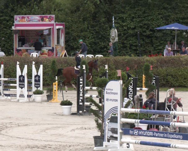 Reitturnier Vlotho-Exter 2024