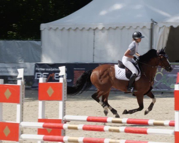 Reitturnier Karlsfeld/Obb. 2024