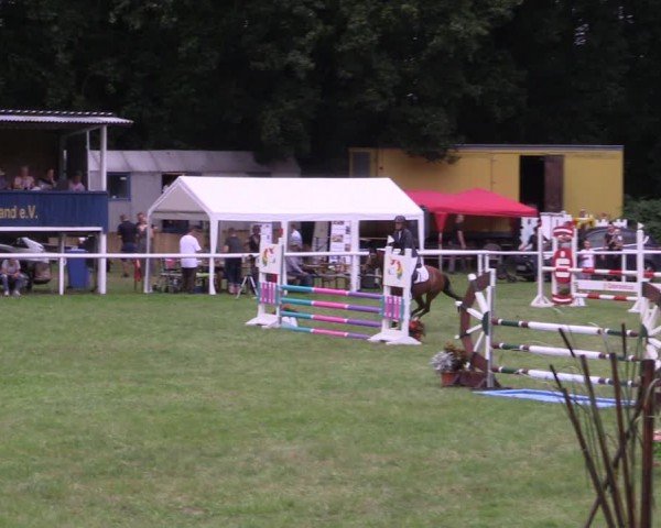 Reitturnier Gorgast 2024