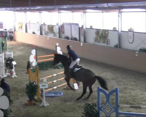 Ravensberger Pferdetage 2013