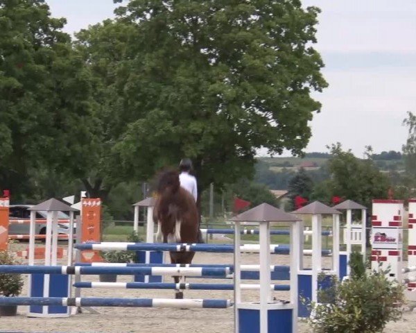 Reitturnier Rot am See Musdorf 2024