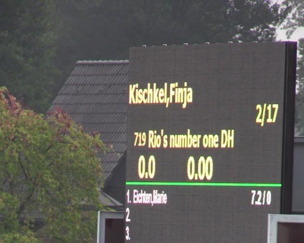 Reitturnier Olfen-Vinnum 2024