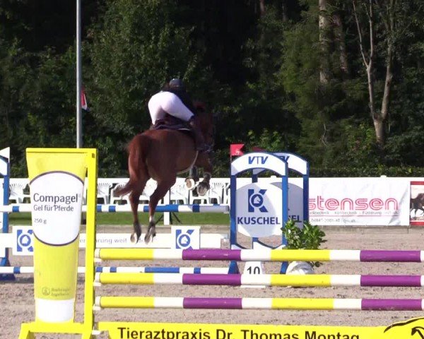 Reitturnier Ladelunder Springtage 2024