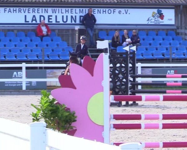 Reitturnier Ladelunder Springtage 2024