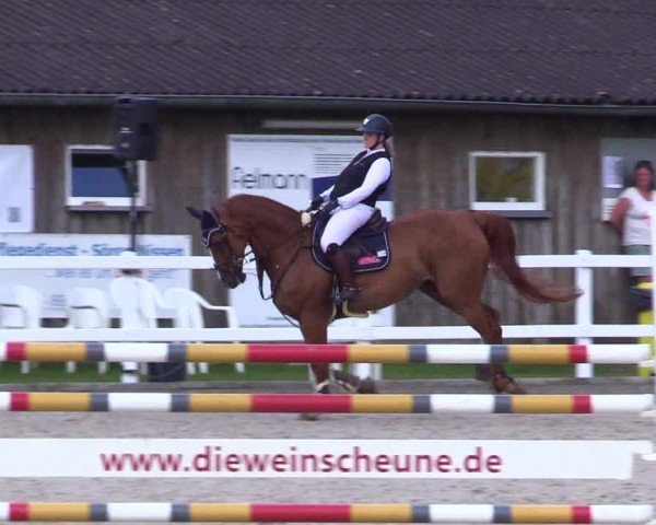 Reitturnier Ladelunder Springtage 2024