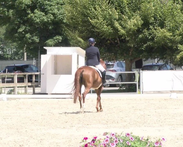 Reitturnier Balsthal 2024