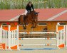 broodmare Cantara 78 (Oldenburg show jumper, 2008, from Canturo)