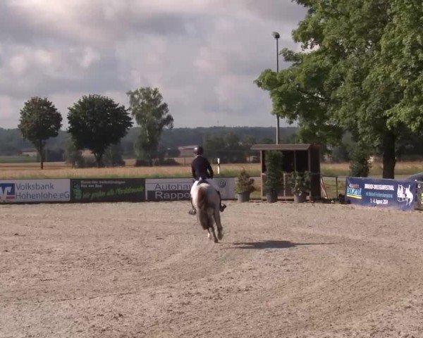 Reitturnier Rot am See Musdorf 2024