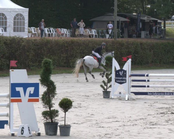 Reitturnier Vlotho-Exter 2024