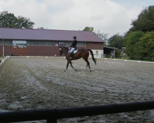 Reitturnier Marienheide-Kempershöhe 2024