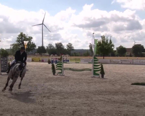Reitturnier Rot am See Musdorf 2024