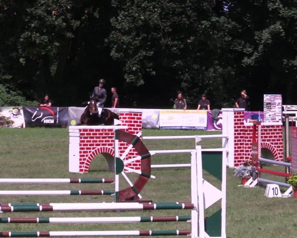 Reitturnier Gorgast 2024