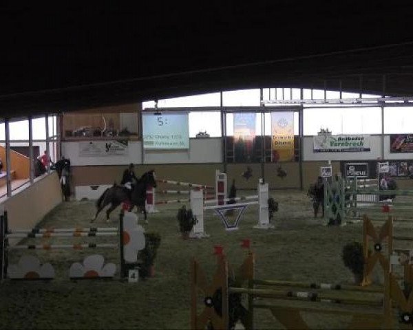 Ravensberger Pferdetage 2013