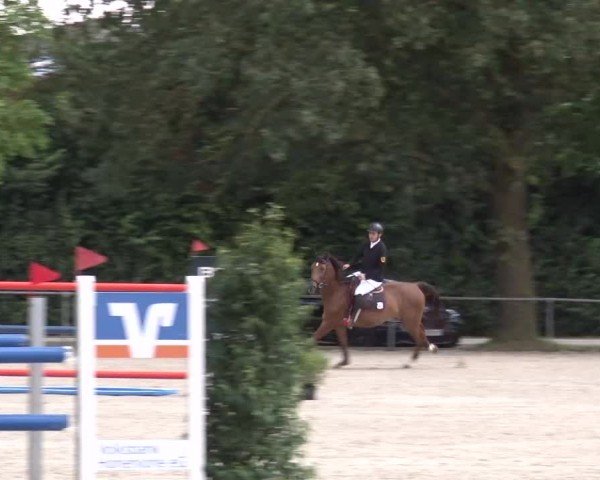 Reitturnier Rot am See Musdorf 2024
