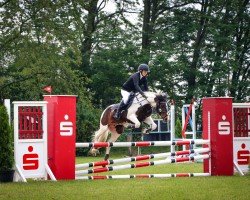 jumper Blue Aeryn (Pony without race description, 2007)