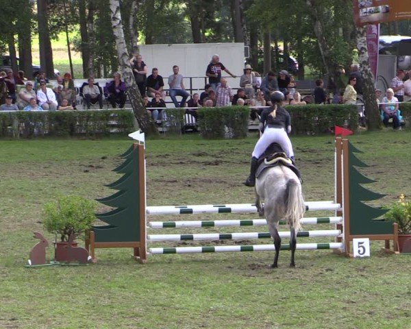 Reitturnier Etingen 2024