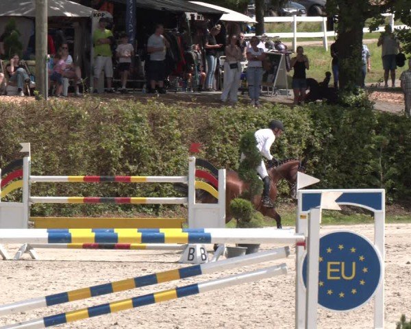 Reitturnier Vlotho-Exter 2024