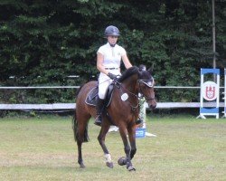 jumper Magic Malibu (German Riding Pony, 2019, from Magic Friday B WE)