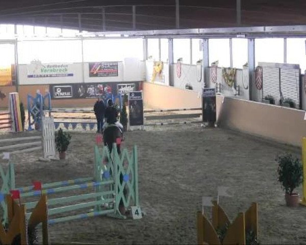 Ravensberger Pferdetage 2013
