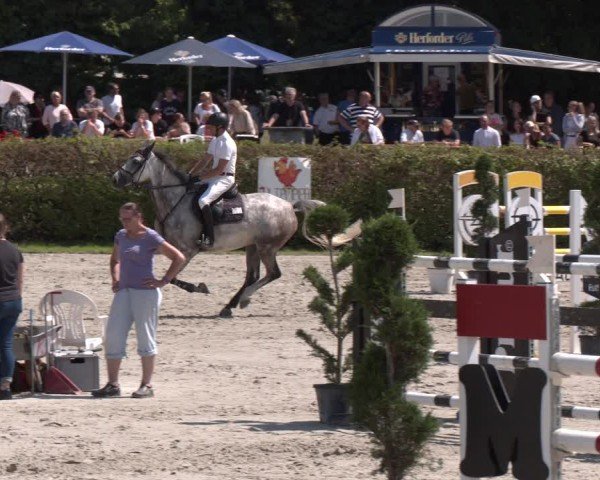 Reitturnier Vlotho-Exter 2024