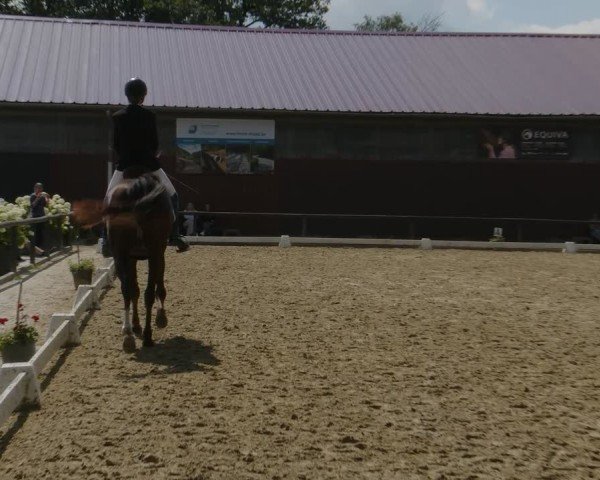 Reitturnier Marienheide-Kempershöhe 2024