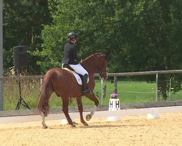 Reitturnier Altentrüdingen/Mfr. 2024