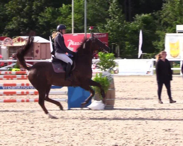 Reitturnier Ladelunder Springtage 2024