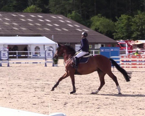Reitturnier Ladelunder Springtage 2024