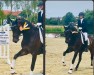 dressage horse First Date 13 (Westphalian, 2017, from Franklin)