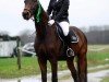 dressage horse Remember Me 87 (Oldenburg, 2006, from Ramoneur 6)