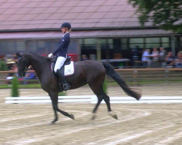 Reitturnier Marienheide-Kempershöhe 2024