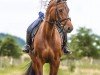 dressage horse A Lisha (German Riding Pony, 2008, from Allbrighton)