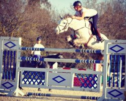 jumper Reve du Haut Pont (French Pony, 2005, from Machno Carwyn)