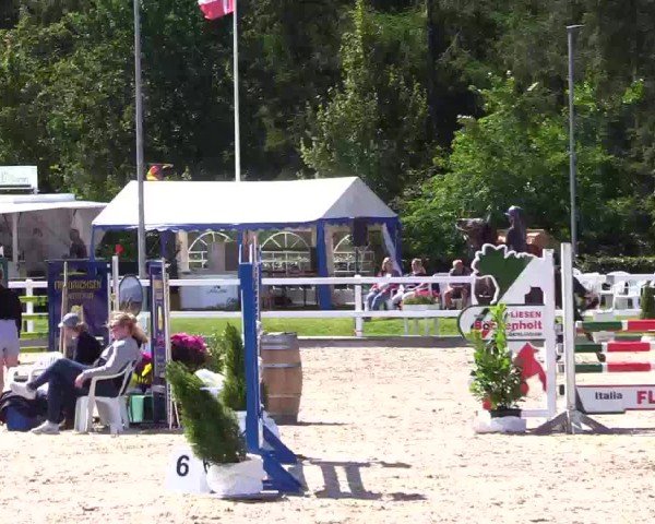 Reitturnier Ladelunder Springtage 2024