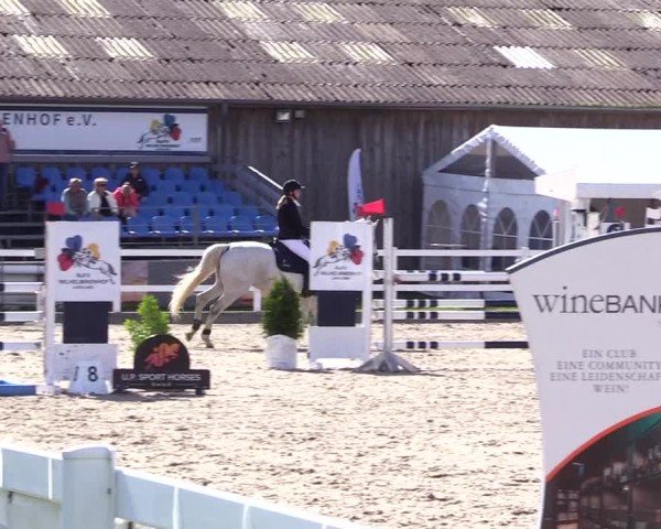 Reitturnier Ladelunder Springtage 2024