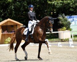 dressage horse Lucky's Victoria's Secret (Oldenburg, 2017, from Vitalis)