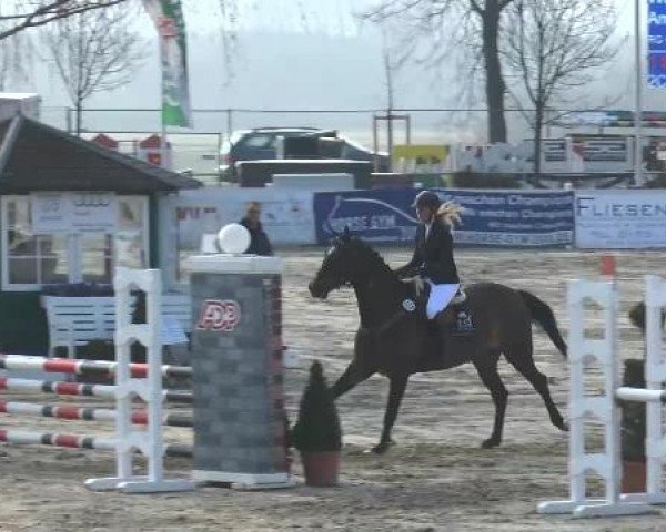 Lenklarer Reitertage auf der Reitsportanlage Gripshöver 2013