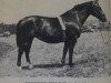 broodmare Ulrike H1385 (Heavy Warmblood, 1953, from Gotenfuerst Mo 654)