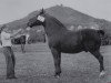 stallion Glanz 730 (Heavy Warmblood, 1937, from Garant)