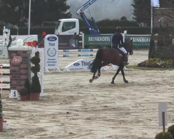 Lenklarer Reitertage auf der Reitsportanlage Gripshöver 2013