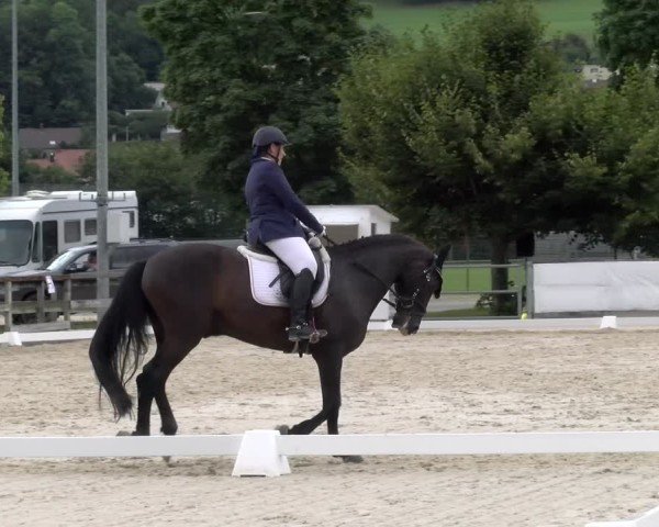 Reitturnier Balsthal 2024
