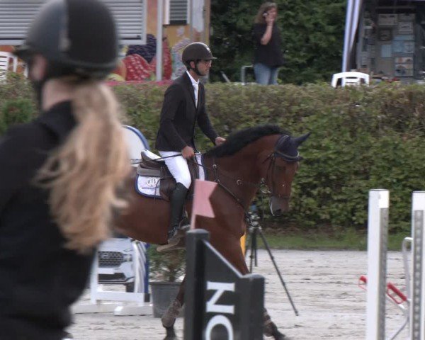 Reitturnier Vlotho-Exter 2024