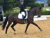 dressage horse Corsika M (Oldenburg, 2009, from Clay)