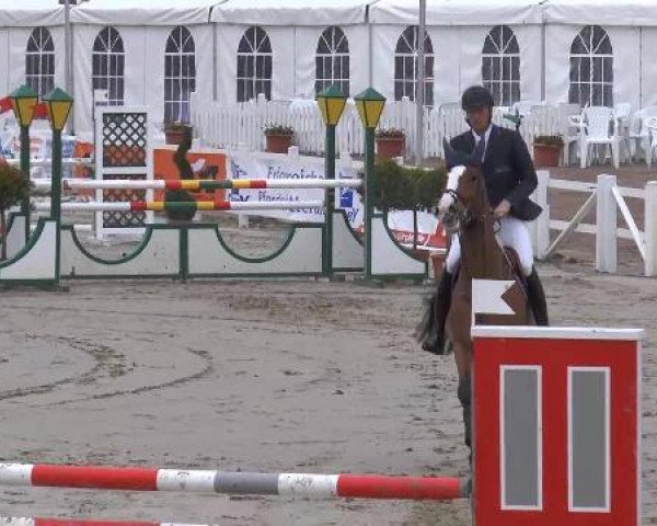 Lenklarer Reitertage auf der Reitsportanlage Gripshöver 2013