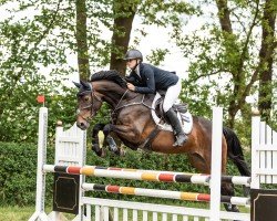 jumper Catinka 37 (Hanoverian, 2017, from Carridam)