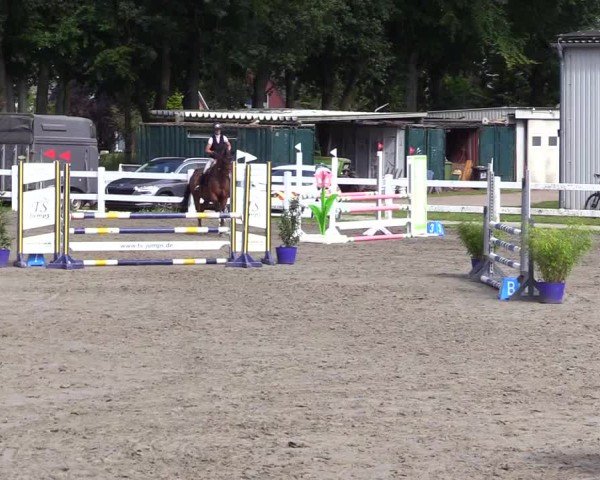 Reitturnier Mildstedt - Jumping Team Nord 2024
