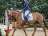 dressage horse Luna xx (Irish Sport Horse, 2015, from Dansant xx)