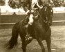 Deckhengst Pincelim (Lusitano, 1946, von Agareno)