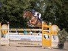 jumper Johnny Depp 5 (German Sport Horse, 2017, from Donnersberger)